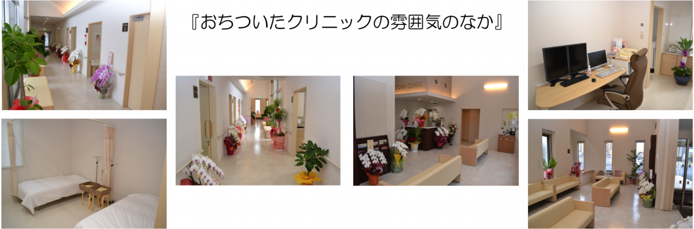 955c82q817c82p.png
